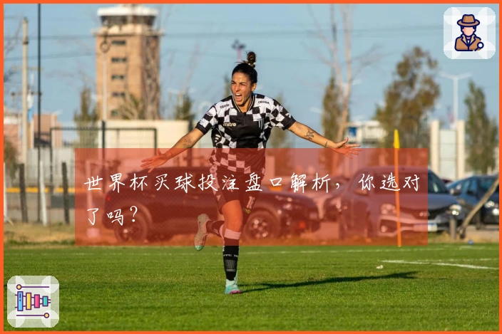 世界杯买球投注盘口解析，你选对了吗？