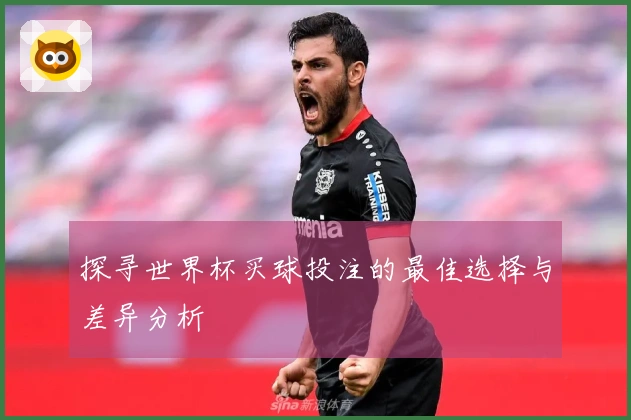 探寻世界杯买球投注的最佳选择与差异分析