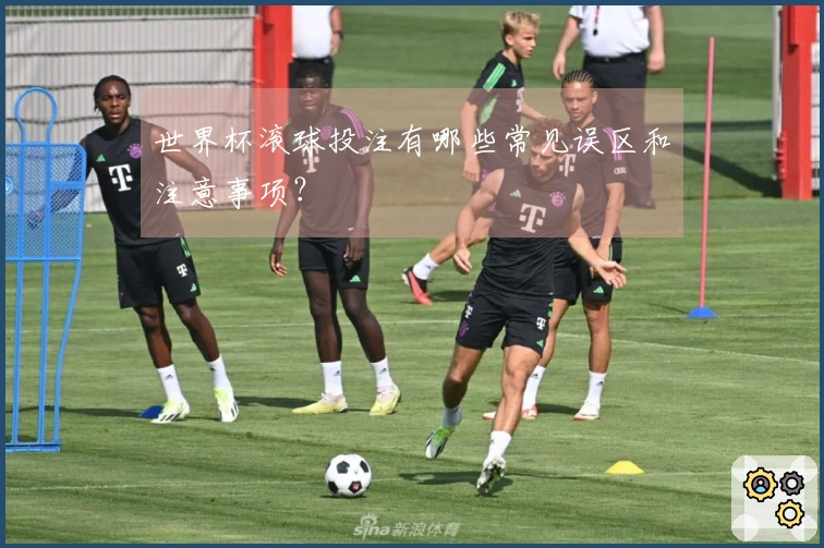 世界杯滚球投注有哪些常见误区和注意事项？