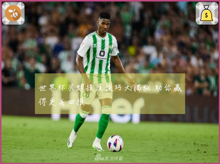 世界杯买球投注技巧大揭秘 助你赢得更高回报