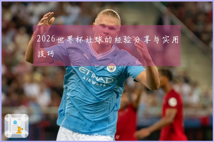 2026世界杯让球的经验分享与实用技巧