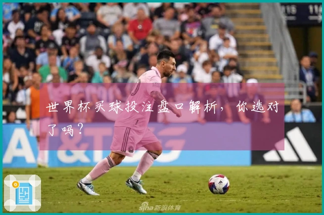 世界杯买球投注盘口解析，你选对了吗？