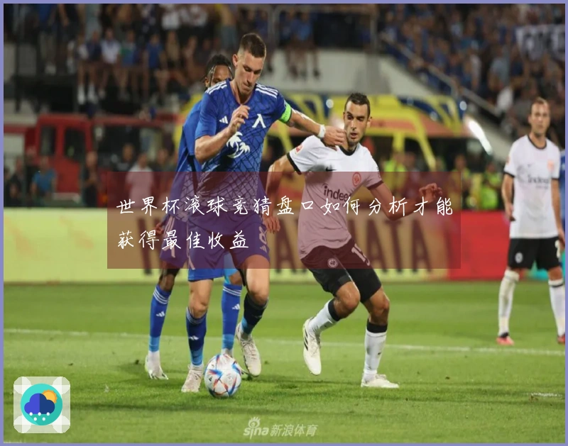 世界杯滚球竞猜盘口如何分析才能获得最佳收益